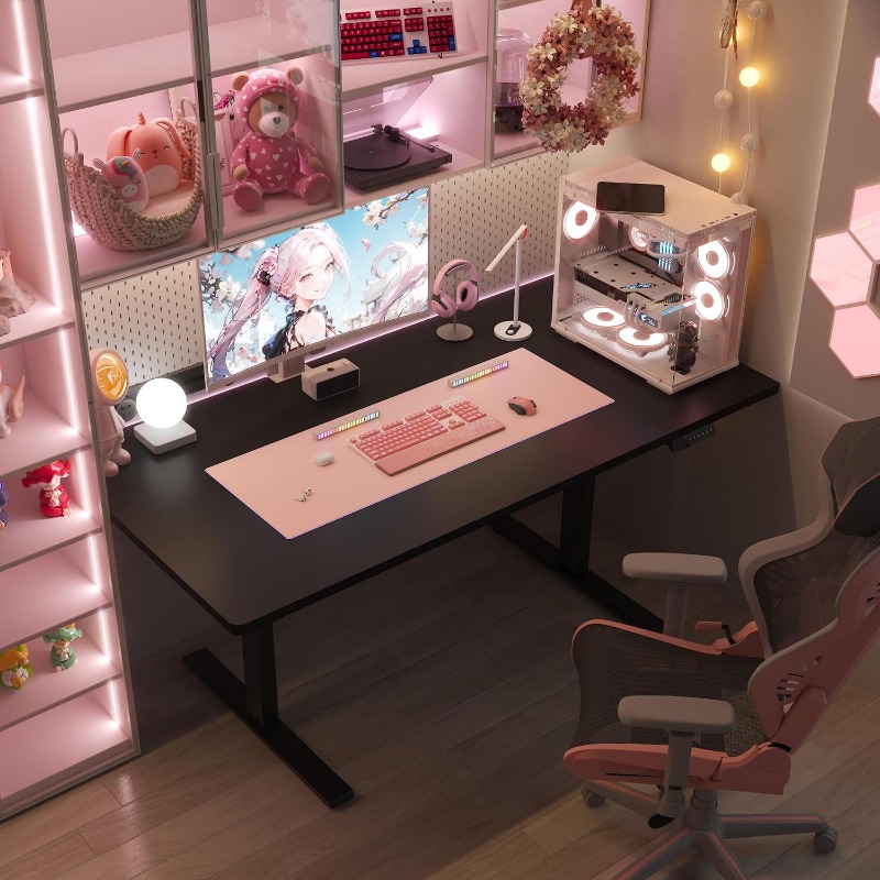 FLEXISPOT Electric Standing De - Desk Setup Dual Monitor review and price
